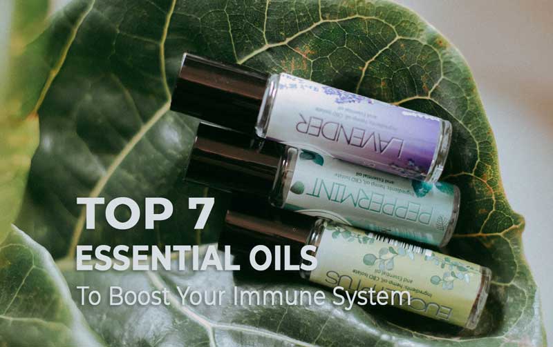 Top 7 Essential Oils To Boost Your Immune System